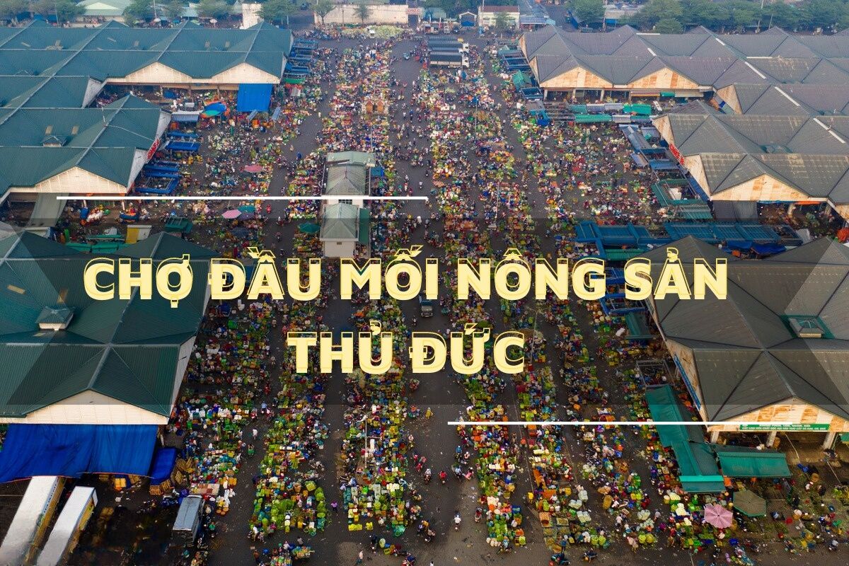 Chợ đầu mối nông sản Thủ Đức có gì sau 20 năm?