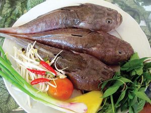 Cá mú làm gì? 3 cách chế biến cá mú ngon nhất