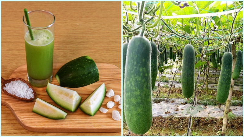 Cách làm nước ép bí đỏ với mật ong Nước ép bí đao có tác dụng gì? Cách làm nước ép bí đao giảm cân