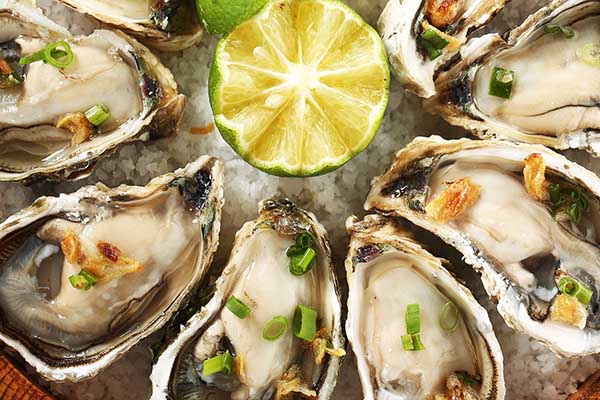 hàu hấp ngon Cách chế biến Hàu và các món ngon từ Hàu ai cũng mê - CET