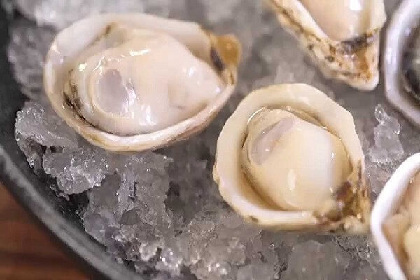 Cách nấu hàu sống Cách chế biến Hàu và các món ngon từ Hàu ai cũng mê - CET