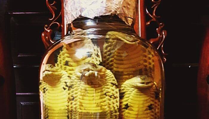 Nằm mơ thấy rắn lột xác nên đặt cược vào con số nào?