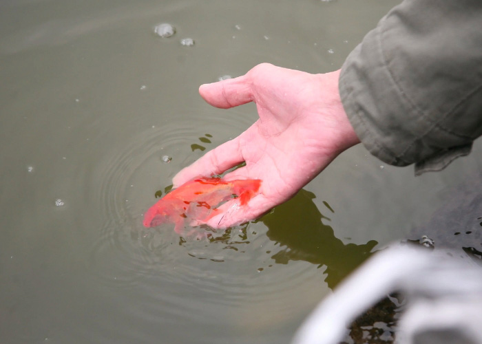 Hãy giúp tôi chơi bài - Cách đốt cháy trái tim để giải quyết vấn đề cờ bạc hiệu quả