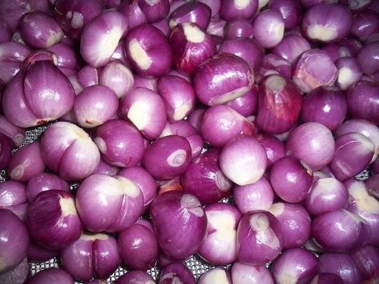 Hành tím – “vua” của các loại rau