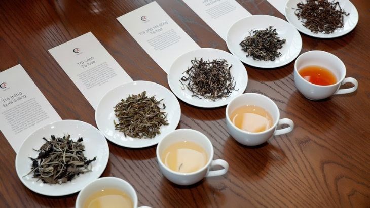 Những loại trà ngon luôn là món quà ý nghĩa cho bố mẹ Nên tặng quà Tết nào cho bố mẹ người yêu? Top 16 món quà ghi điểm