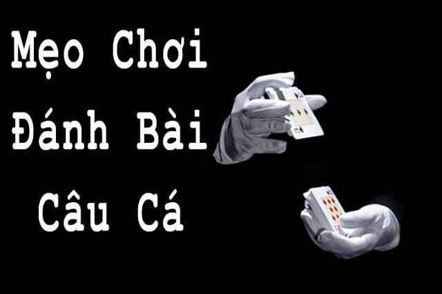 Trong trò chơi đánh bài để đổi thưởng - Có bao nhiêu lá bài được chia trong trò chơi câu cá? Luật chia bài